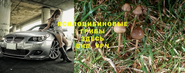 a pvp Зеленокумск