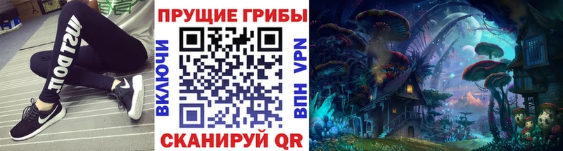 Галлюциногенные грибы прущие грибы  Купить закладки  Лакинск 