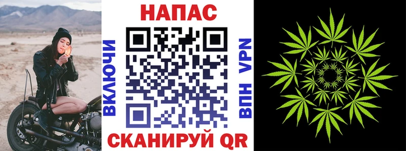 Купить где  Лакинск  Бошки марихуана гибрид 